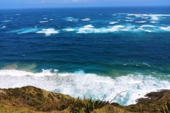 Cap Reinga - 11 - Tasmanian Sea meets Pacific Ocean