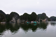 Cat Ba Sea Kayaking - floating hamlet