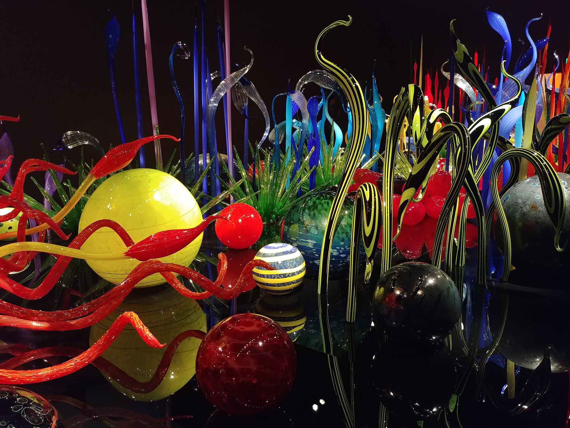 Chihuly Glass and Garden - 47