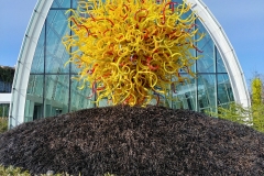 Chihuly Glass and Garden - 101