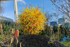 Chihuly Glass and Garden - 101b