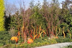 Chihuly Glass and Garden - 112