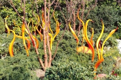 Chihuly Glass and Garden - 114