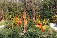 Chihuly Glass and Garden - 115