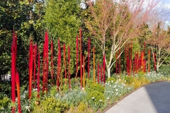 Chihuly Glass and Garden - 119