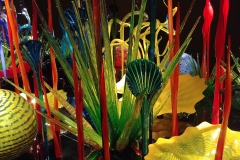 Chihuly Glass and Garden - 28