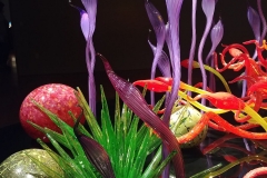 Chihuly Glass and Garden - 34