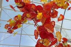 Chihuly Glass and Garden - 73