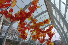 Chihuly Glass and Garden - 74