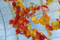 Chihuly Glass and Garden - 78