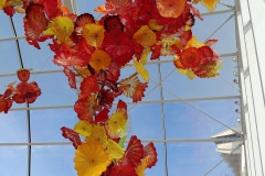 Chihuly Glass and Garden - 79