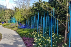 Chihuly Glass and Garden - 97