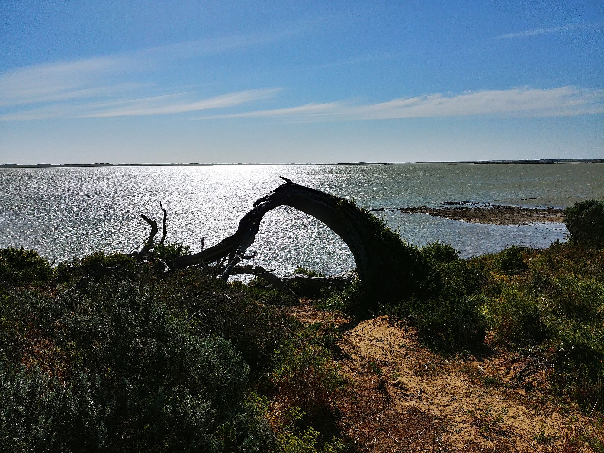 Coorong National Park - Jack Point 02
