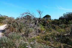Coorong National Park - Jack Point 01
