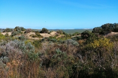 Coorong National Park - Jack Point 03