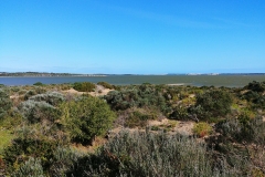 Coorong National Park - Jack Point 04