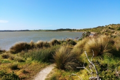 Coorong National Park - Jack Point 06