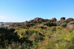Coorong National Park - Jack Point 08