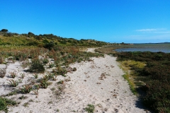 Coorong National Park - Jack Point 10