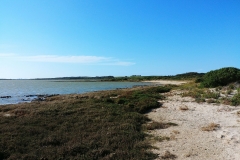 Coorong National Park - Jack Point 11