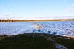 Coorong National Park - Lakes Nature Trail - 20