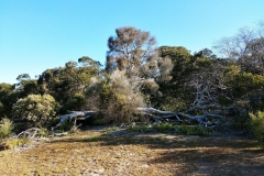 Coorong National Park - Lakes Nature Trail - Pipe Clay Lake - 06