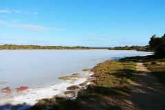 Coorong National Park - Lakes Nature Trail - Pipe Clay Lake - 08