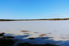 Coorong National Park - Lakes Nature Trail - Pipe Clay Lake - 09