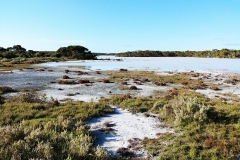 Coorong National Park - Lakes Nature Trail - Pipe Clay Lake - 12