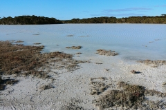 Coorong National Park - Lakes Nature Trail - Pipe Clay Lake - 13