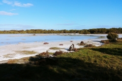 Coorong National Park - Lakes Nature Trail - Pipe Clay Lake - 14