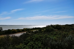 Coorong National Park - Lookout 02