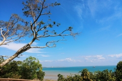 Darwin - Bicentennial Park - The sea