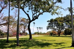 Darwin - Bicentennial Park - View