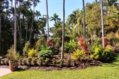 Darwin - Botanical Gardens - Flowerbed