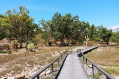 Darwin - Botanical Gardens - Pathway