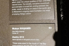 Darwin - MAGNT - Destiny - Wukun Wanambi - Cartel