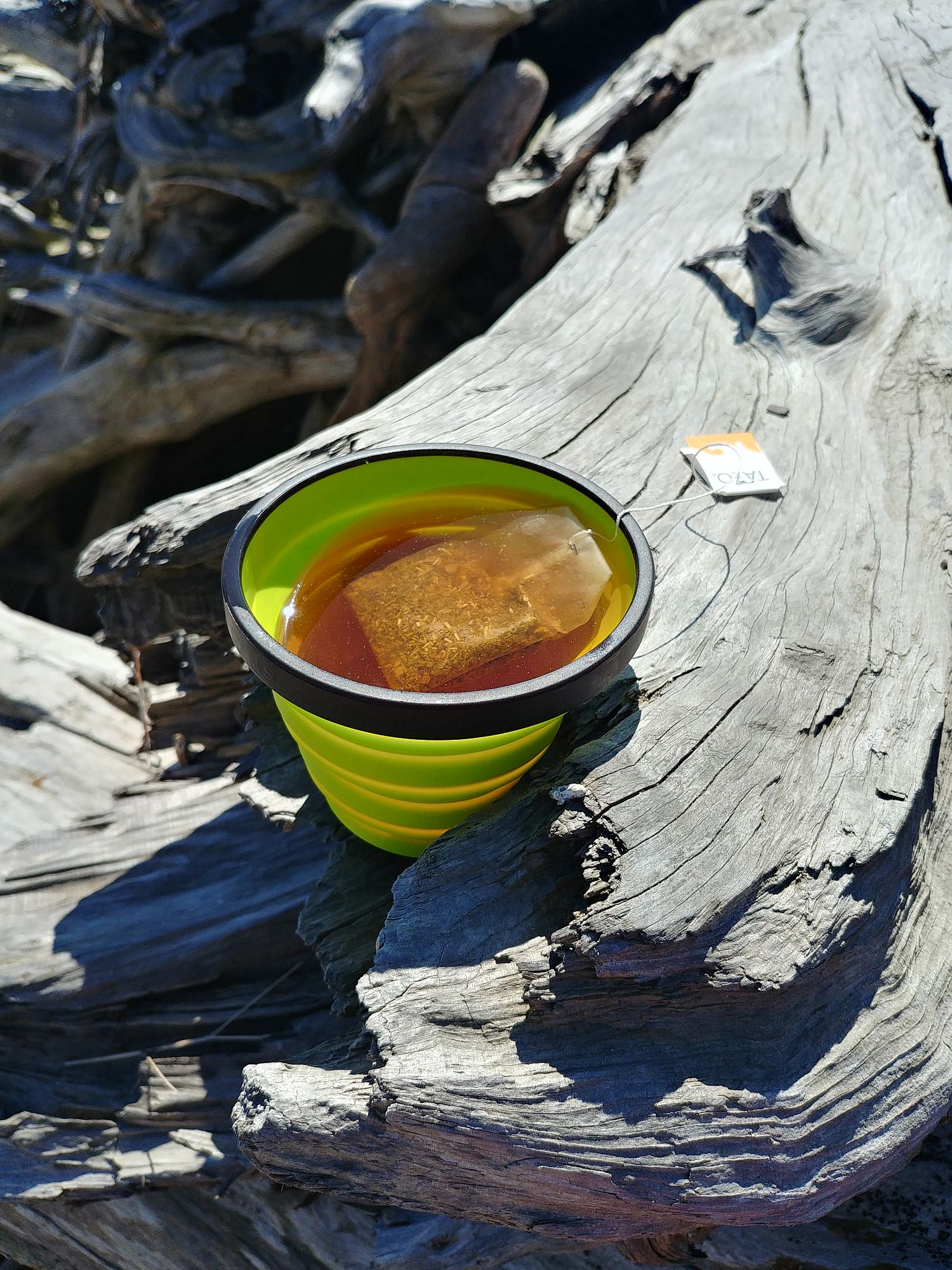 Discovery Park - 20 - Tea time on the beach