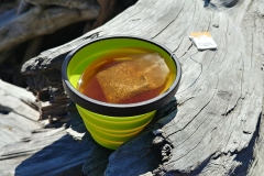 Discovery Park - 20 - Tea time on the beach