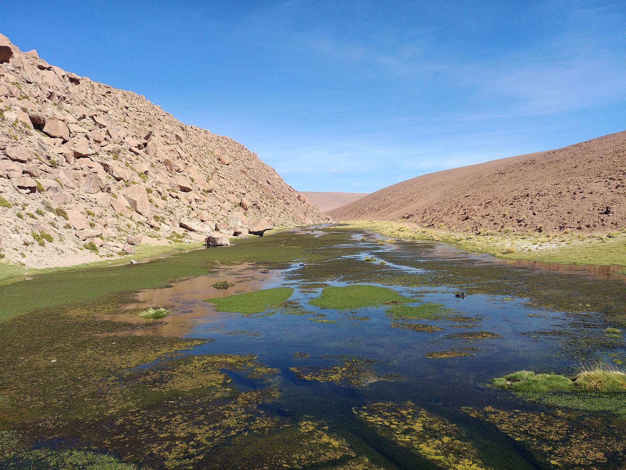 El Tatio Geyser Field - 55