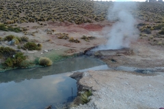 El Tatio Geyser Field - 13