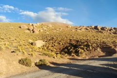 El Tatio Geyser Field - 30