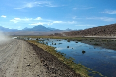 El Tatio Geyser Field - 53