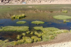 El Tatio Geyser Field - 54