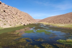 El Tatio Geyser Field - 55