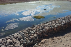 El Tatio Geyser Field - 56