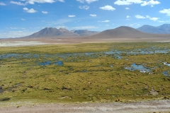 El Tatio Geyser Field - 57