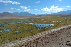 El Tatio Geyser Field - 58