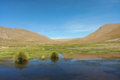 El Tatio Geyser Field - 64