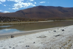 El Tatio Geyser Field - 67